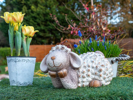 Easter lamb lying on the green grass next to yellow tulip flowers, the background blurred in the garden, a symbol of Easter.の写真素材