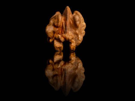 Shaving brush, eco-friendly wood and natural hair. Zero waste concept. Bright white backgroundの写真素材