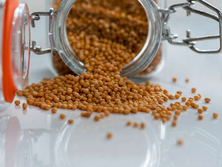 Dry mustard seeds in a glass bottle and a pile of mustard on a white background. Close-up macroの写真素材