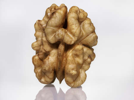 Walnut On A White Background. Nut kernel nut on a white background. Lots of details, Makro