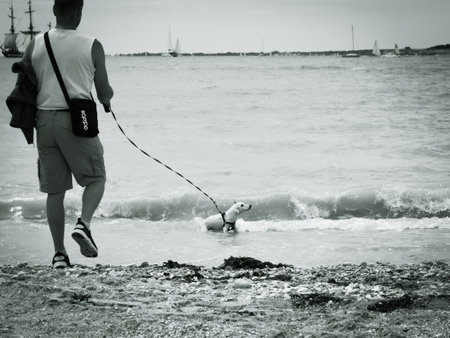 La Rochelle, France, July 2022. A man with a dog on a leash on the city beach in La Rochelle, in the background the sea and shipsのeditorial素材