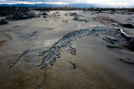 Damage from tsunamiの写真素材