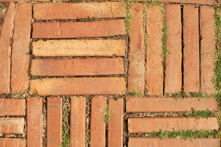 walkways decorated with grass