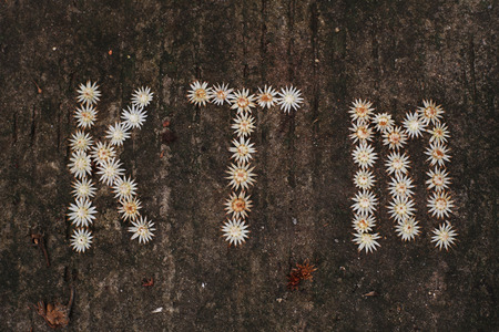 flowers text on the woodの写真素材