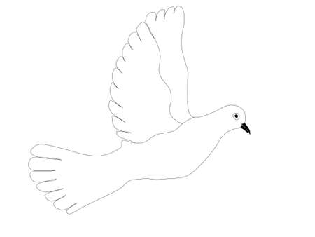 doveのイラスト素材