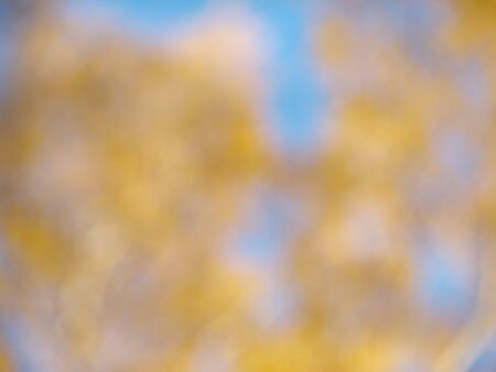 Blur motley backgroundの写真素材