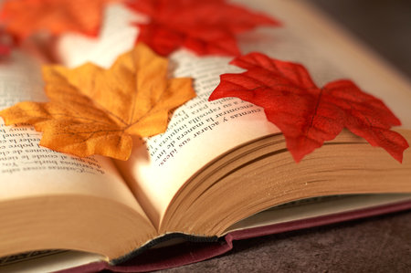 open book with autumn leaves on topの写真素材
