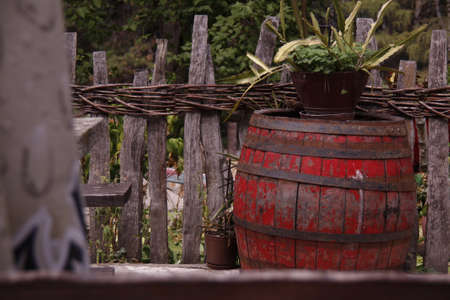 rustic still lifの写真素材