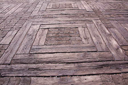texture of a treeの写真素材