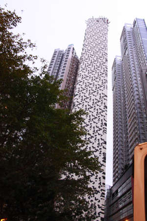 skyscraper