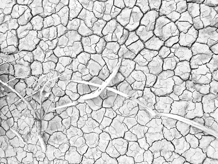 Dry ground texture toned image for background.の写真素材