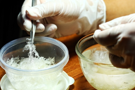 The nest of Edible-Nest Swiftlet, raw edible bird's nest materials for tradition chinese medicine. Edible nest soup is popular at Hong Kong, Taiwan, China and Southeast Asia. Selective focus.