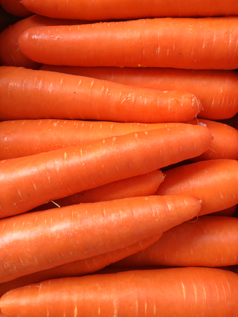 Pattern of carrots for orange colored background. Organic fresh vegetables background concept.の写真素材