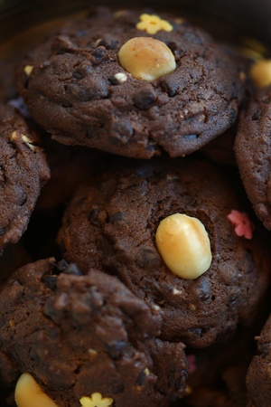Close up of almond and chocolate chip cookies, selective focus and free space text.