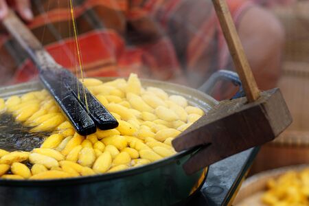 How to processing thai silk thread form cocoon. Selective focus and motion blur in action.