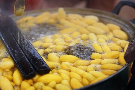 Boiling cocoon in pot. How to processing thai silk thread form cocoon. Selective focus and motion blur in action.の写真素材