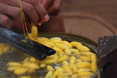 Boiling cocoon in pot. How to processing thai silk thread form cocoon. Selective focus and motion...