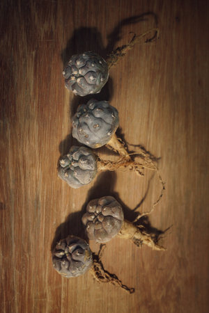 Cones on a wooden background. Photo in old color image style.