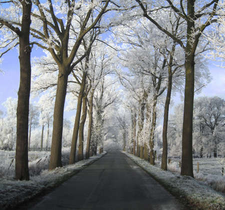 Winter in Belgiumの写真素材