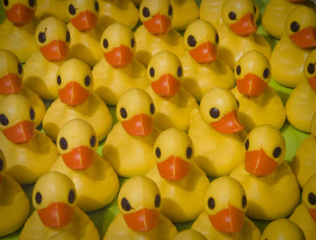 Plastic Ducksの写真素材