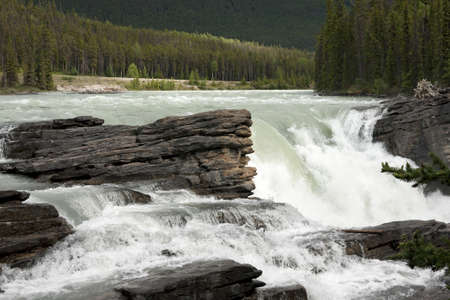 Thundering water over brown-grey rocks against green forest backdrop.の写真素材