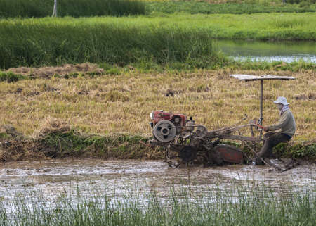 Central Vietnam - March 2012: Rudimentary plowing machine struggles through the mud framed in yellow and greens.のeditorial素材