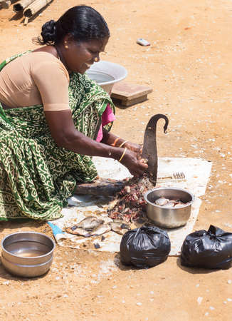 KUMBAKONAM, INDIA - OCTOBER 11, 2013: Woman, sitting in the sand, cleans and cuts fish with the help of a stand-up, fixed knife.のeditorial素材