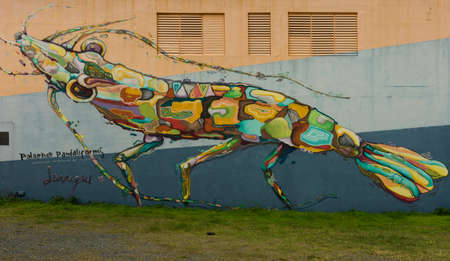 SAN JUAN, PUERTO RICO - MARCH 7, 2015: Graffiti in University neighborhood. Very sharp colorful image of a giant insect that may resemble a shrimp. Painted on a three-color wall and fronted by a green lawn.のeditorial素材