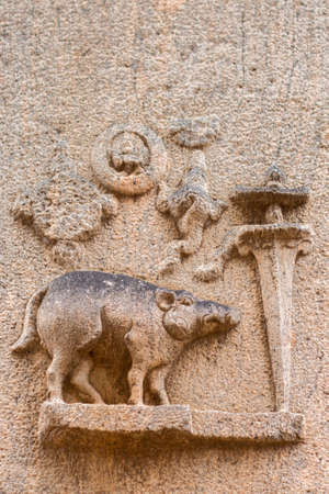 On the wall of the older, ruinous parts of the Kallalagar temple a boar figures as the fourth avatar of Vishnu.の写真素材