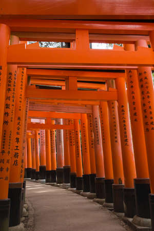 Kyoto, Japan - September 17, 2016: Thousands of Torii create path up the hill at Fushimi Inari Taisha Shinto Shrine. Look through multiple of these vermilion Torii with inscriptions on the pillars.のeditorial素材
