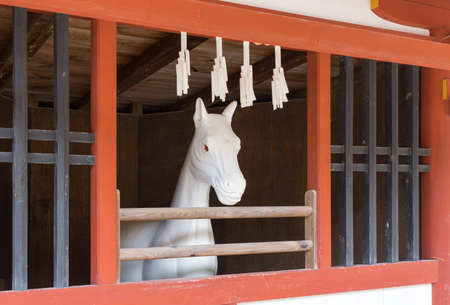 Hiroshima, Japan - September 20, 2016: All white stone statue of horse at itsukushima Shinto Shrine. Set in vermilion stable. Red-eyed Horse looks outside.のeditorial素材