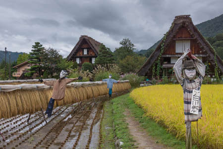 Shirakawago, Japan - September 23, 2016: Three well designed scarecrows stand in yellow and brown rice paddies adjacent to houses with the particular joined hands roofs.のeditorial素材