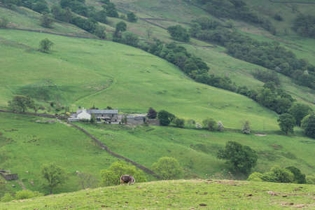 Lake District, England - May 30, 2012: Isolated gray farm building in midst of walled, green meadows on the slope of mountain. Sheep in foreground. Forests and lone trees.の写真素材