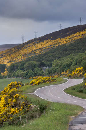 The A9 asphalt road follows the North Sea coast and meanders along green hill slopes covered with...
