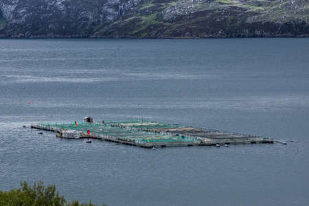 Assynt Peninsula, Scotland - June 7, 2012: Closeup of large pisciculture platform floats on the gray salt waters of Loch A Chairm Bhain. Green netting, Mountains as backdrop. Orange clad workers.のeditorial素材