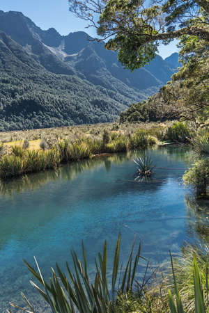 Fiordland National Park, New Zealand - March 16, 2017: Mirror Lake with dead trees under clear water with green vegetation on its shore. Dark forested mountains in back under light blue sky.のeditorial素材
