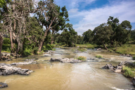 Tamil Nadu, India - October 26, 2013: Landscape shot of Moyar River in Masamigulli Forest. Brownish water flows over rocks through the green jungle under blue sky with white clouds.の写真素材