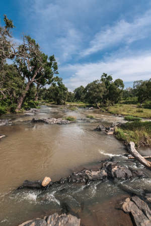 Tamil Nadu, India - October 26, 2013: Closeup Portrait shot of Moyar River in Masamigulli Forest. Brownish water flows over rocks through the green jungle under blue sky with white clouds.の写真素材