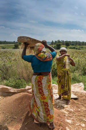 Mysore, India - October 27, 2013: Two colorfully dressed farm women sift brown buckwheat grain on open green field under blue sky with white clouds in Mellahalli hamlet.のeditorial素材