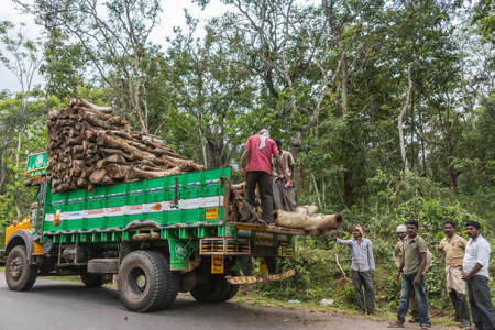 Coorg, India - October 29, 2013: Crew of tribal men load pieces of tree trunks on green dump truck along road through forest near Rangasamudra village.のeditorial素材