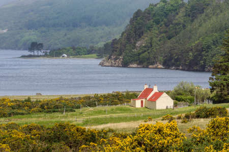 Ullapool, Scotland - June 8, 2012: Red roofed cabin on east shore of Loch Broom near Ullapool sit in green landscape with lake water nearby and surrounded by hills. Yellow broom flowers.のeditorial素材