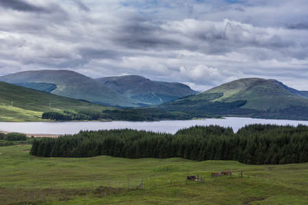 Bridge of Orchy, Scotland, UK - June 12, 2012: Bluish loch of Tulla surrounded by green hills, some darkly forested under a heavy cloudscape. Some cows up front in green pasture.のeditorial素材