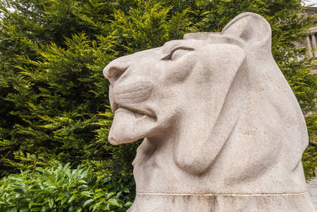 Glasgow, Scotland, UK - June 17, 2012: Closeup of white stone lion head at war memorial on George Square. Green foliage as background.のeditorial素材