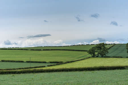 Shearington, Scotland, UK - June 18, 2012: Agricultural land as seen from Ruined triangular brown stone moated Caerlavarock Castle under blue sky.のeditorial素材
