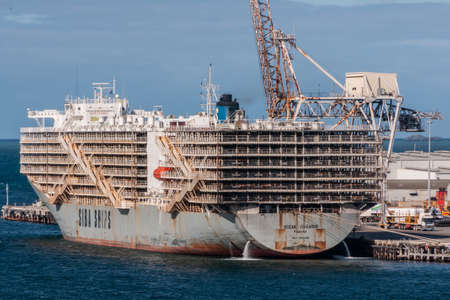 Fremantle, Australia - November 25. 2009: Massive tall Siba Ship called Ocean Shearer loads up living sheep to transport to Muslim countries docked at the port under blue sky and floating on blue ocean water. Cranes and harbor equipment in back.のeditorial素材