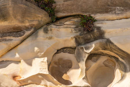 Sydney, Australia - February 11, 2019: Closeup of bucket like rock formation made by erosion on South shore cliffs overlooking Bronte Beach. Dominant yellows and browns.の写真素材