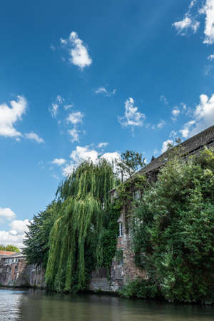 Gent, Flanders, Belgium -  June 21, 2019: Green foliage covers partly old brick houses along the Lieve River under blue sky with white cloud patches. Greenish water.の写真素材