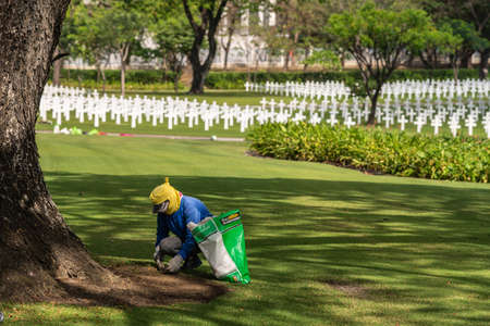 Manila, Philippines - March 5, 2019: American Cemetery and Memorial park. Blue-yellow dressed gardener working on green lawn under brown tree with white crosses in back.のeditorial素材