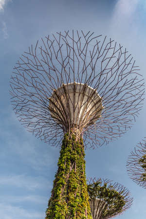 Singapore - March 22, 2019: At Gardens by the Bay. Young Artificial Supertree in Golden Garden against blue sky. Two more adult in picture.のeditorial素材