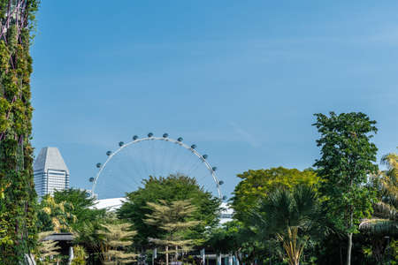 Singapore - March 22, 2019: At Gardens by the Bay. View onto The Flyer Ferris Wheel above green foliage of multiple trees at entrance to park.のeditorial素材